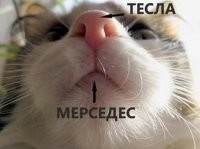 Вся русская автомобильная индустрия