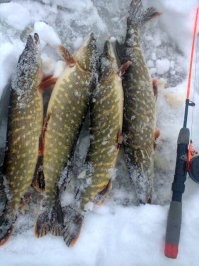 Зимняя рыбалка