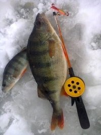 Зимняя рыбалка