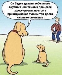 Смешные и познавательные картинки