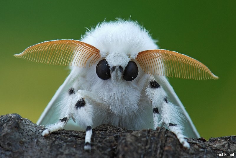 Не останавливайтесь-экспериментируйте