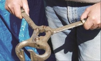 Педофилам в России будут делать химическую кастрацию