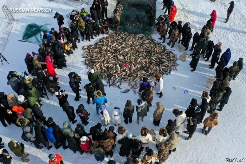 Это в Китае так организованно сделали на озере Ноганьху. Там ещё потом свой улов выкупать нужно за деньги, или оставить другим желающим. Тебе предоставляют лунку и время.
