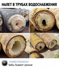 Этим "бабам" на фото лет по 50. И у них минимум как на третьем фото. Так что аналогия так себе...