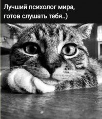 Да конечно... В основном вот так