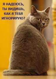 Да конечно... В основном вот так