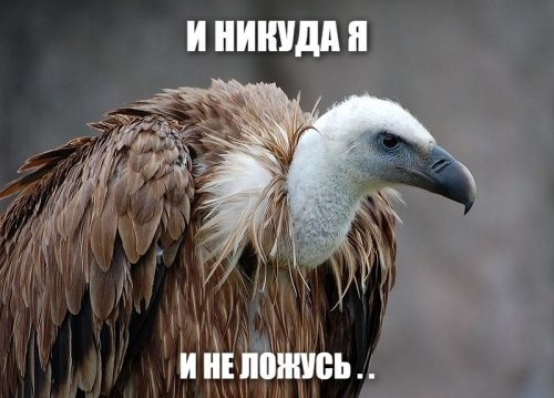 Солянка от 30.11.2021