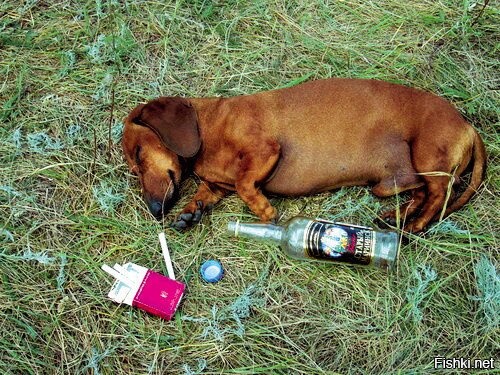 После работы...