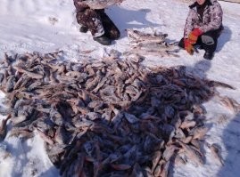 Зимняя рыбалка