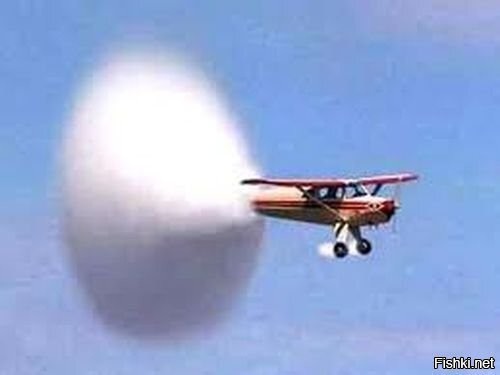 Солянка от 01.12.2021