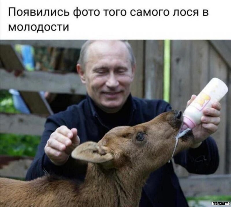 Солянка от 01.12.2021