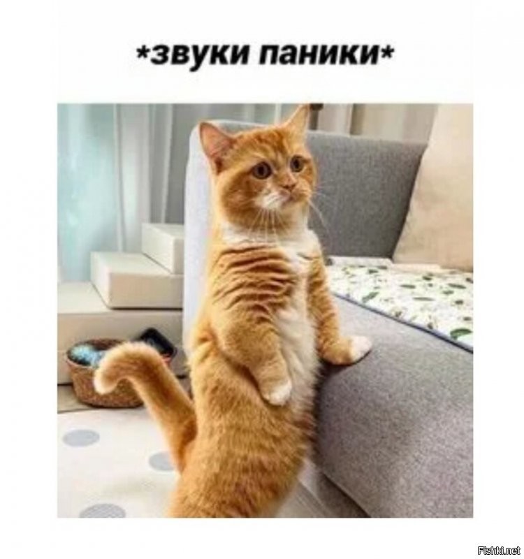 ..это не я!...