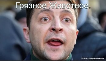 Ошибки эволюции: причудливые животные, о существовании которых вы могли не знать