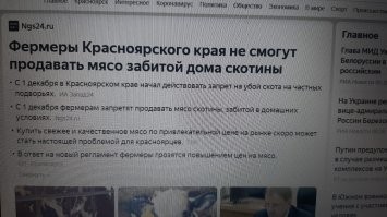 6 крутых законов и один спорный: что изменилось в России с 1 декабря