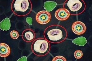 На этом снимке,разумеется в целях неразглашения оригинальной формулы,один из составляющих элементов заменён на плацебо.