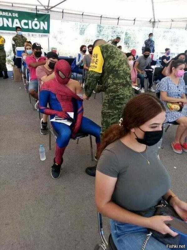 Жена сказала, что на этой фотографии есть человек-паук...