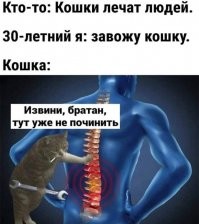 Смешные и познавательные картинки