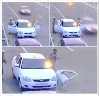 Дикие дети гор. 
А вот так они ведут себя на дорогах !