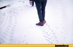 Почти все так делали.