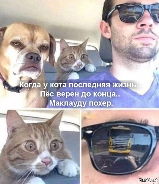 Солянка от 01.12.2021
