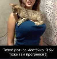 Тихое уютное местечко? Над ним же мозговыноситель.