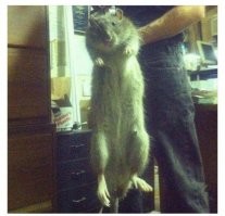 И его лучший друг!