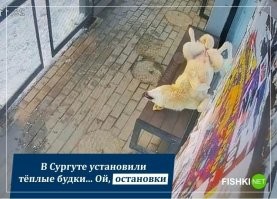 У нас в Оренбурге тоже поставили... Правда не теплые, просто назвали их "умные остановки". Стеклянные, прозрачные, с вай-фаем и USB зарядками... Вот только это все в задумках, по факту стекла всегда напрочь грязные, вай-фай толком не работает, табло для отслеживания транспорта осталось где-то в проекте... Но зато стоимость... 3 миллиона каждая! 3 миллиона, Карл! Квартира трешка 2-2.400 стоит в городе, а тут остановка... Умная она, конечно, кому надо бабла-то принесла...
