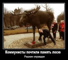 Глава СК Бастрыкин завел уголовное дело на депутата Рашкина