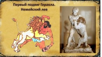 Человек vs алабай: мужчина борцовским приемом удержал агрессивного пса и удивил соцсети