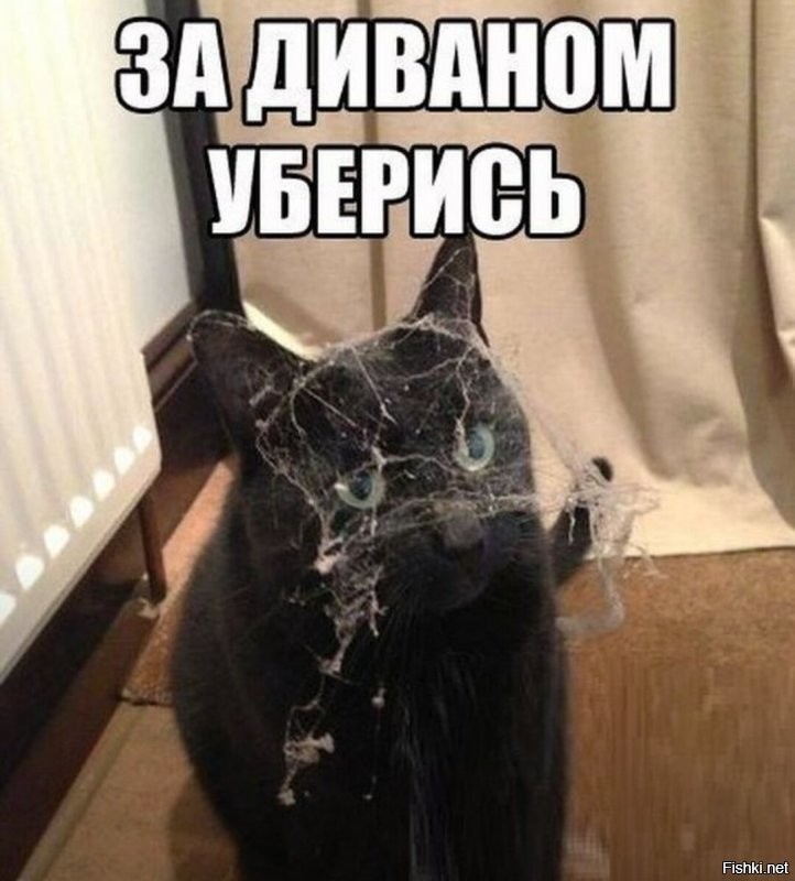 Солянка от 02.12.2021