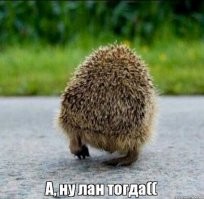 Быстрое окончание уличной драки