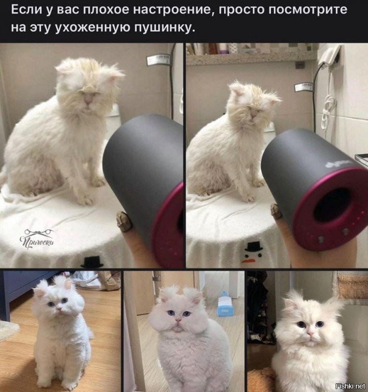 Солянка от 02.12.2021