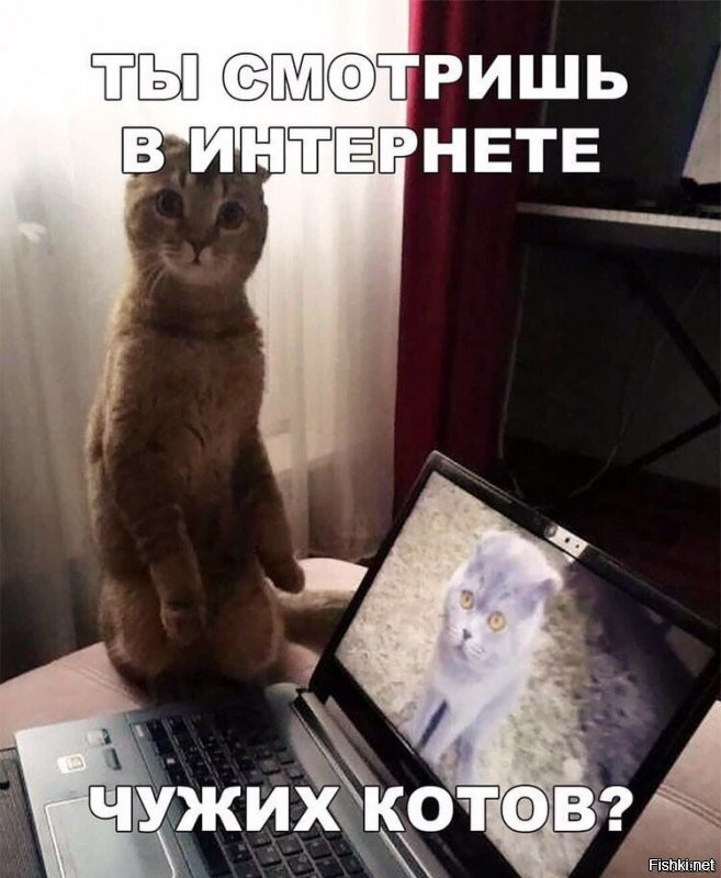 Солянка от 02.12.2021