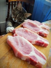 я только потрогать