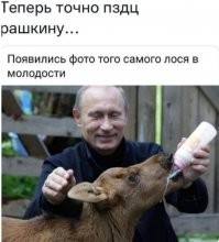 Глава СК Бастрыкин завел уголовное дело на депутата Рашкина