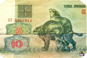 лучше старые белорусские купюры складывать