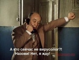 Судя по комментариям , вирусологи - все !!!!!!!