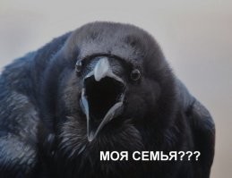 О России глазами человека, проехавшего её на машине в одиночку