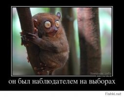 Агрессивный краснодарец испинал чужую машину и угрожал ножом её владельцу