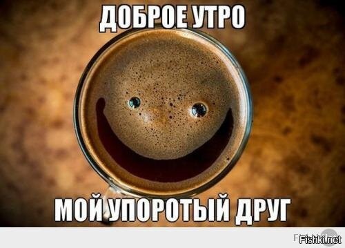 Солянка от 02.12.2021