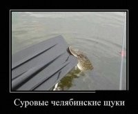 Я тебе, тля, покажу, по моему хотению!