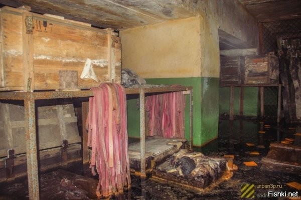 Автор как-то кособоко копипастит. Из его же первоисточника

~~~~~
В 1919 году приют и близлежащую церковь закрыли. Какое-то время после этого здесь проводились лекции об экологических катастрофах, мерах безопасности в экстремальных ситуациях, а позже здание забросили.

Не похоже, что здание простояло заброшенным 100 лет, да и фонари и ЛДС как бы намекают.




~~~~~
Заброшенный особняк Брусницыных находится в самом центре Санкт-Петербурга.
Переехавший в город в 1844 году крестьянин Николай Мокеевич Брусницын основал свой кожевенный завод, к которому позже был построен этот особняк в качестве богодельни. Сюда принимали стариков и детей. Их учили, одевали и кормили в обмен за труд на заводе. Сейчас здесь постоянно проходят съемки фильмов, сериалов, фотосессии для модных журналов.

Судя по состоянию стенных панелей, дверей и обоев, наличия действующего электрического освещения, не сказать, что он прямо-таки заброшен.




~~~~~
Завод Красный треугольник.
Основан в 1860 году Фердинандом Краузкопфом, который учредил Товарищество российско-американской резиновой мануфактуры (ТРАРМ). На всех изделиях завода ставилось фабричное клеймо в виде треугольника, поэтому в 1918 году после революции заводу дали имя «Красный треугольник». C 1932 года завод начал производить синтетический каучук. В нулевых годах завод обанкротился и сейчас сдается в аренду разным организациям.
~~~~~
Убежище Петродворцового часового завода в городе Петергоф, производителя легендарных часов «Ракета».
Находится в холме и имеет не менее трех выходов. Было сильно затоплено. Внутри противогазы, военные каски, руководства по гражданской обороне, плесень и вода, которая постоянно затапливает помещение.