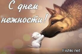 Доброе утро, соляне