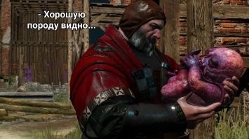 Намешалось