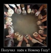 Так вот почему больше в пайке нет ежей.
А вот раньше...