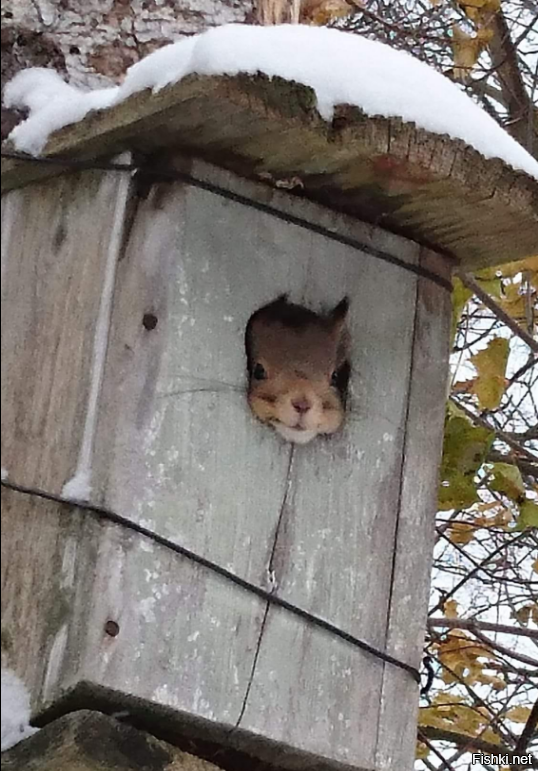 Солянка от 03.12.2021