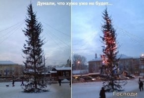 Британцы высмеяли в Твиттере рождественскую елку, подаренную Норвегией