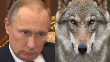 ссыте, уепки