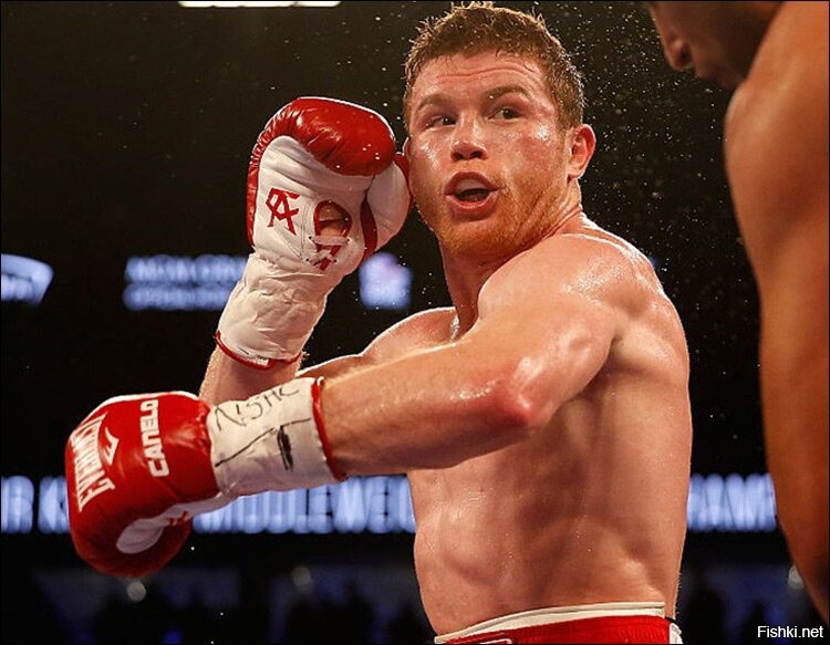 Рыжий - Альварес Канело