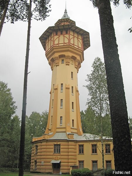 Солянка от 03.12.2021